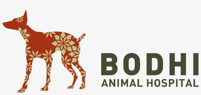 Bodhi Animal Hospital Logo Png Transparent - Bodhi Vet, transparent png download