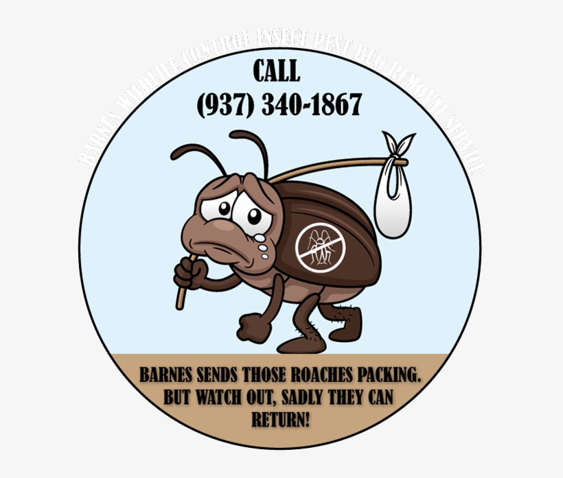 So - Cockroach, transparent png download