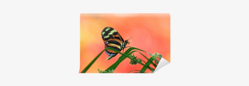 Painting, transparent png download