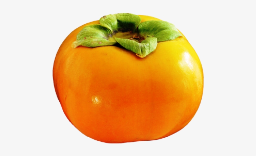 Persimmon Png Free Download - Persimmon Png, transparent png download
