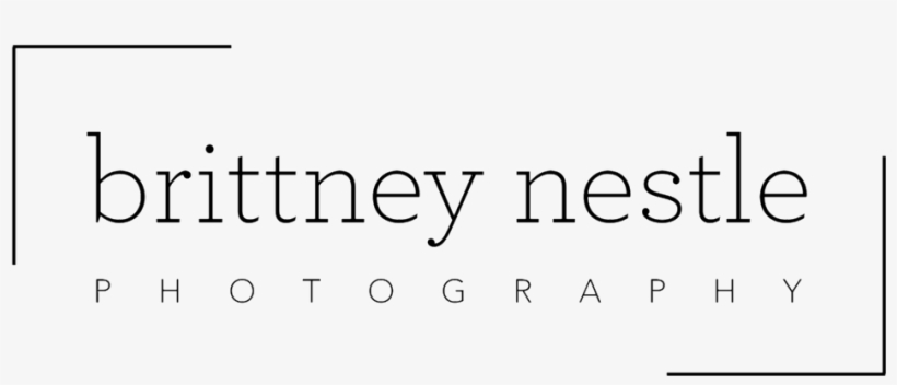 Bn Photography Black-resized - Photography, transparent png download