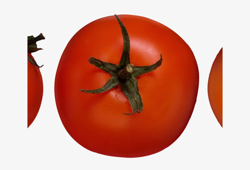 Persimmon Png Transparent Images - Kreativ Kochen Lernen Modul C By Rita Richter 9783808566992, transparent png download