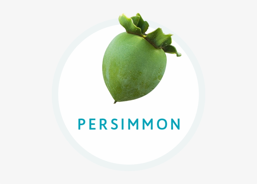Persimmon - Seedless Fruit, transparent png download