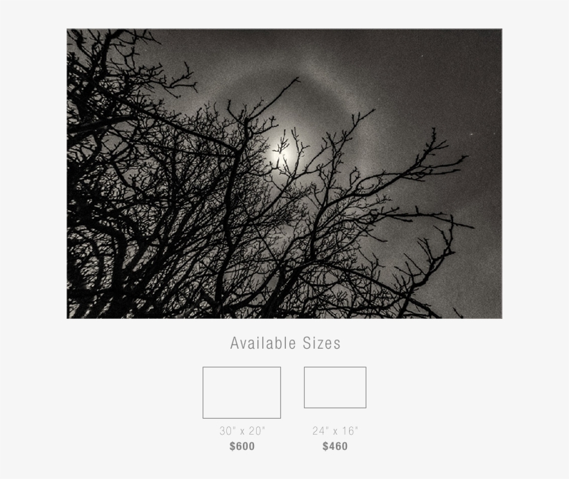 Back - Moon, transparent png download