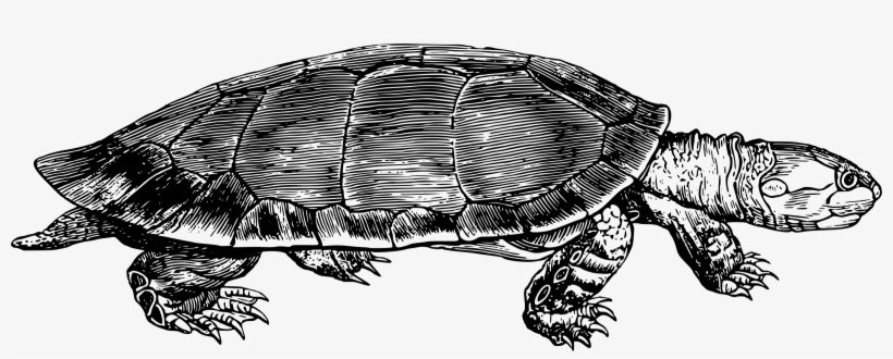 This Free Icons Png Design Of Yellow Spotted River, transparent png download