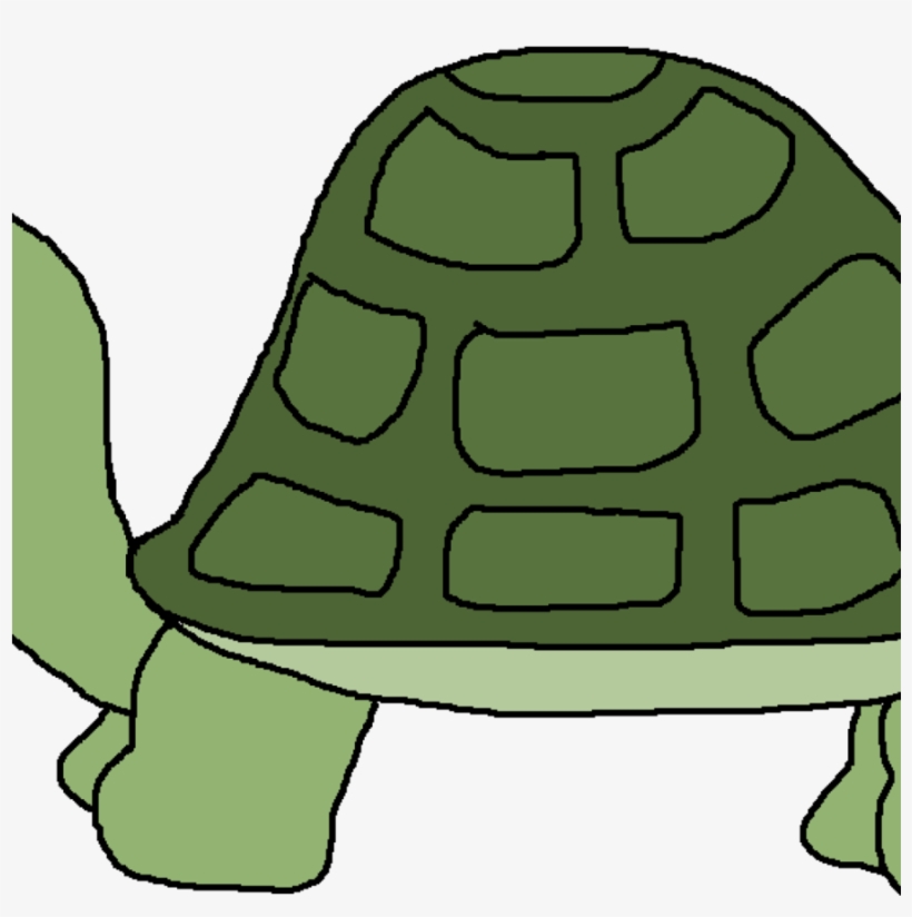 Turtles Clipart Hd Png, transparent png download