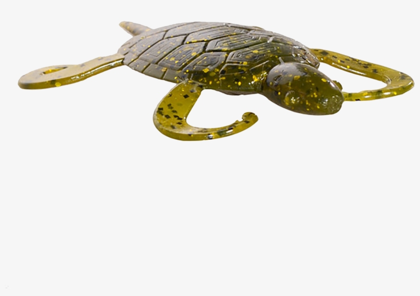 Green Pumpkinseed - Pumpkin, transparent png download