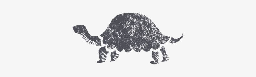 Turtle, transparent png download