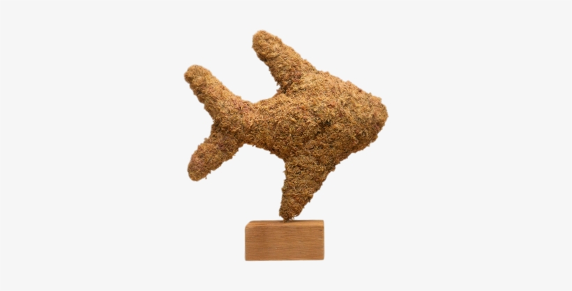 Tropical Angel Fish Topiary Stuffed - Angelfish, transparent png download