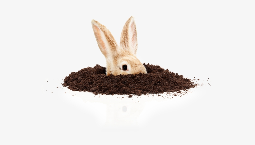 Rabbit Hole Png Transparent Image - Easter, transparent png download