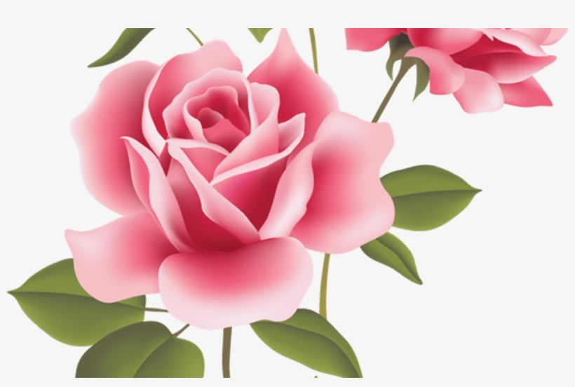 Web Design & Development Pink Roses, Clip Art And Floral - Rose Flower, transparent png download