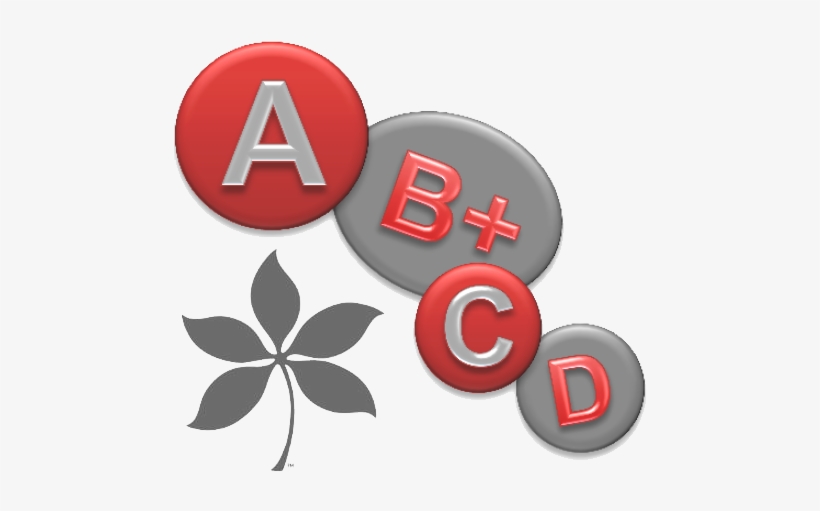 Grades & Academic Progress • Class Rank • Grades Not - Buckeye Clipart, transparent png download