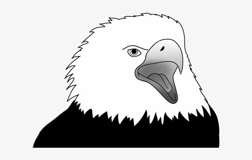 Eagle Screaming Sketch - Cartoon, transparent png download