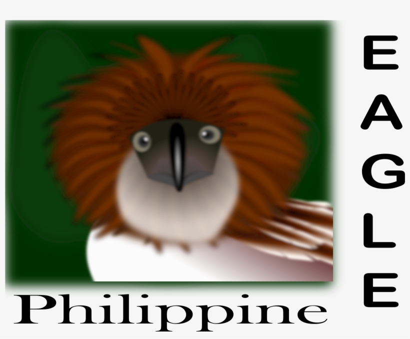 Big Image - Philippine Eagle In A Flag, transparent png download
