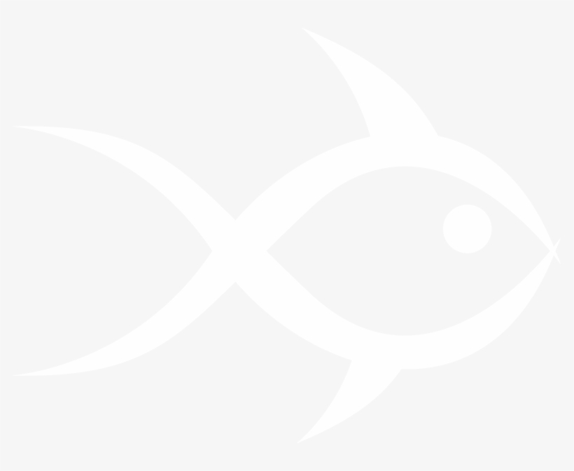 Sc Salmon Jerky Facts - Marine Mammal, transparent png download