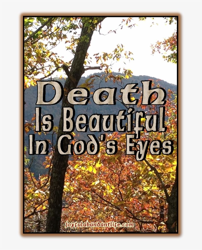 Death Is Beautiful In God's Eyes - Leaf, transparent png download