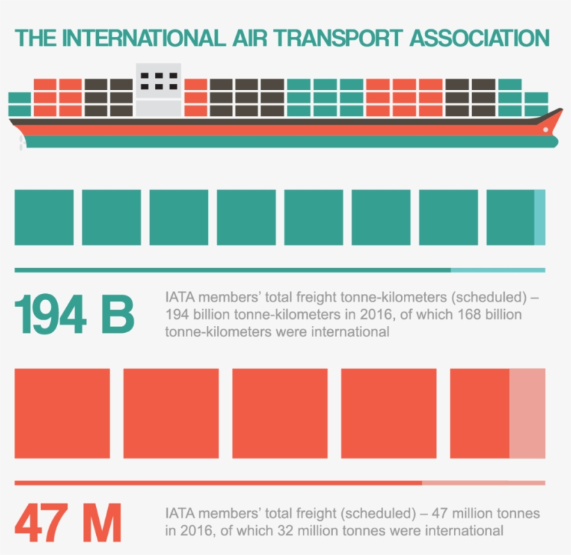 International Air Transport Association Infographic - Graphic Design, transparent png download