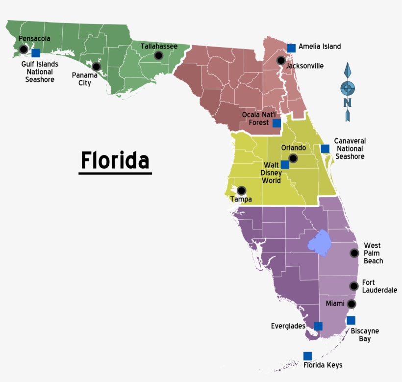 Map Of Florida Regions With Cities - Regions Of Florida, transparent png download