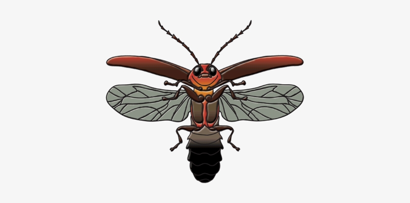 Fireflies Are Coming - Hornet, transparent png download