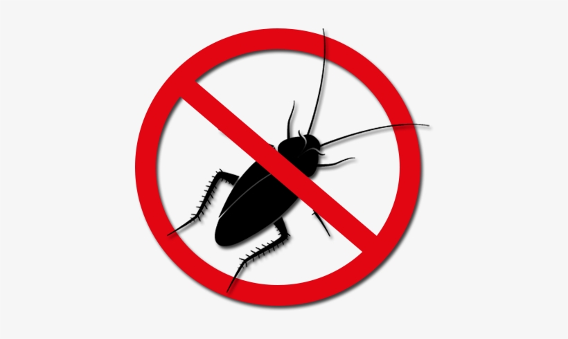 Cockroaches - Dedetização Barata, transparent png download