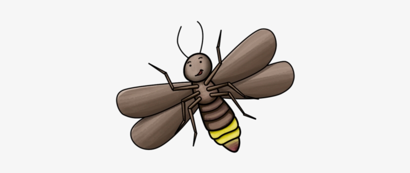 Firefly - Hornet, transparent png download