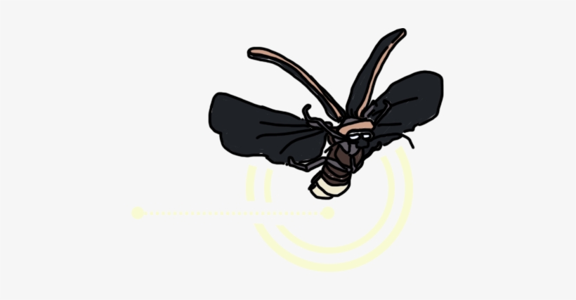 Watt, Why & How E-newsletter - Illustration, transparent png download