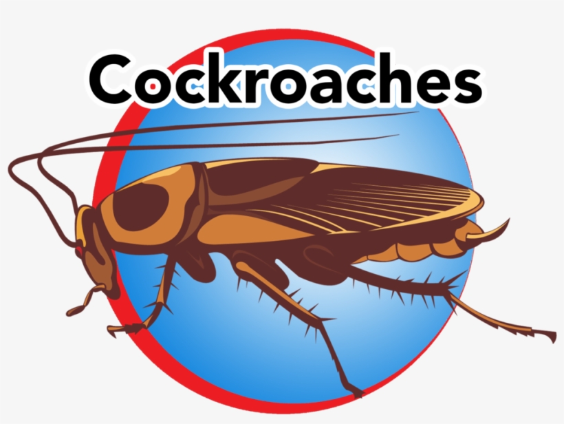 Cockroaches Blue Button - Vector Graphics, transparent png download