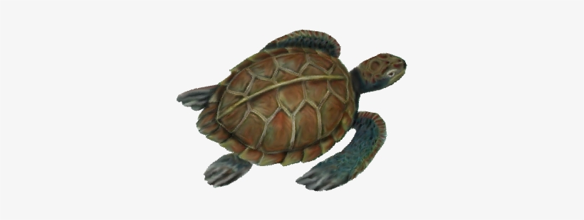 Sea Turtle - Wedding, transparent png download