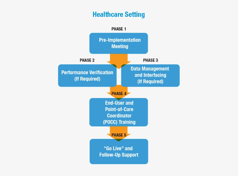 Istat Implementation Phases - Phases Of Team Implementation, transparent png download