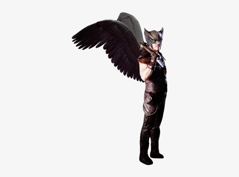 Png Gavião Negro - Dc's Legends Of Tomorrow Png, transparent png download
