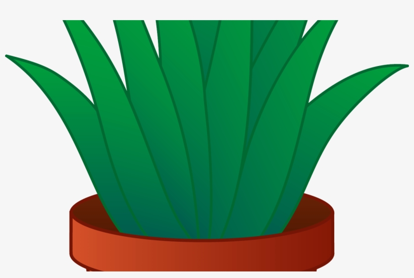31 Great Indoor Potted Plant - Aloe Vera Plant Clipart, transparent png download