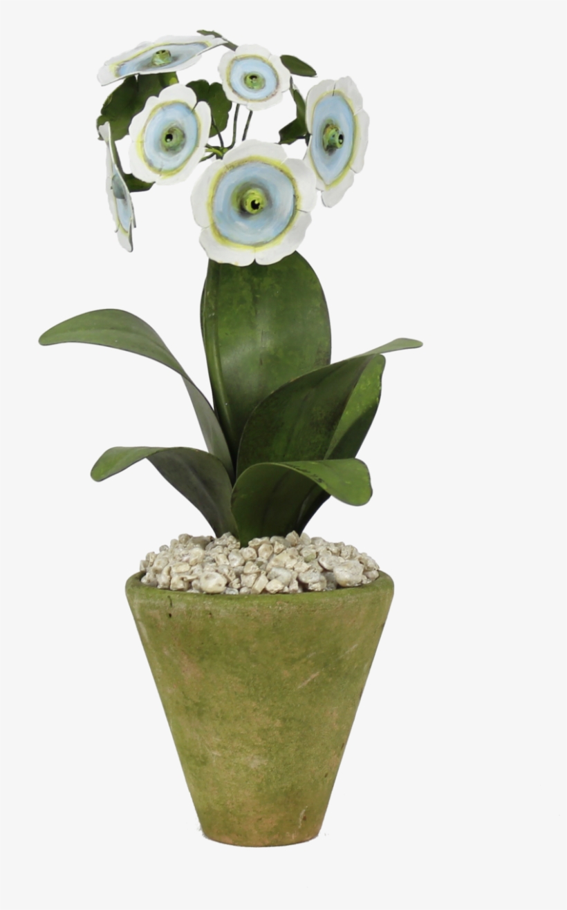 Painted Potted Plants, transparent png download