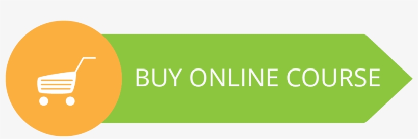 Site By Regional Integrated Marketing - Graphics, transparent png download