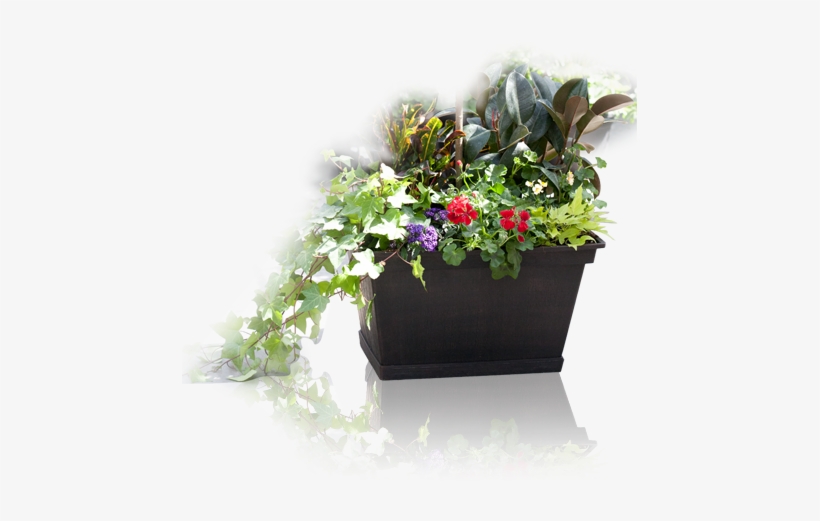 Custom Container - Garden, transparent png download
