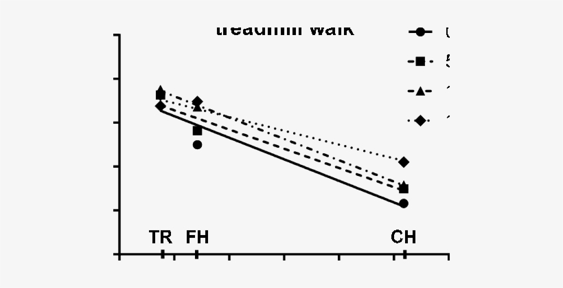 Results Of The First Campaign Of Data Acquisition - Shoe, transparent png download