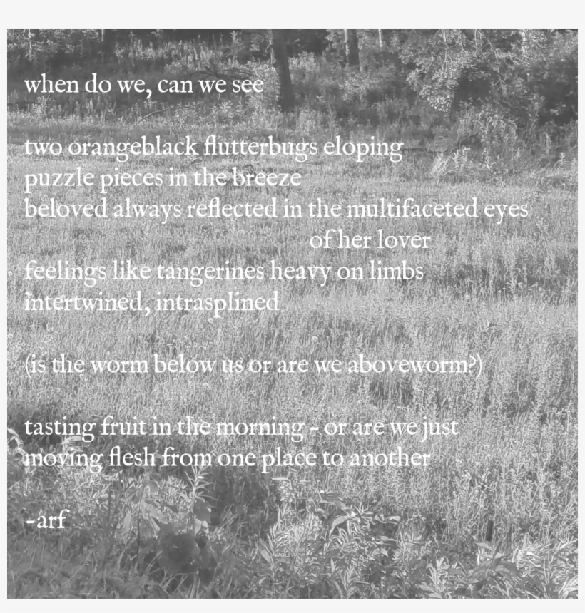 When Do We, Can We See - Tree, transparent png download