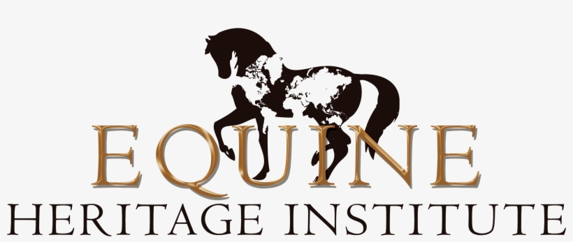 Founded In 1995 By Entrepreneur And Philanthropist, - Style And Apply Detailed World Map Wall Decal, Sticker,, transparent png download