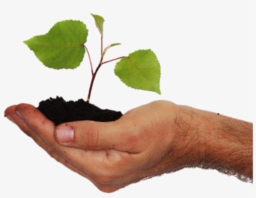 Refers To Any Donation That Is Part Of A Financial, - Dons Planifiés, transparent png download