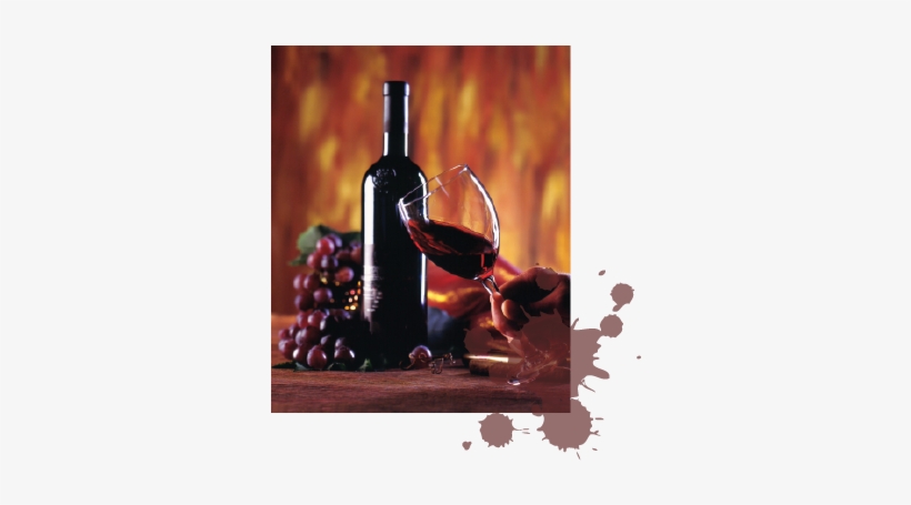 Wine-spill - Red Wine Grapes, transparent png download