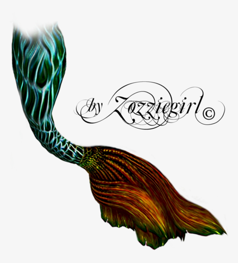 Mermaid Tail Png Pluspng - Green Mermaid Tail Png, transparent png download