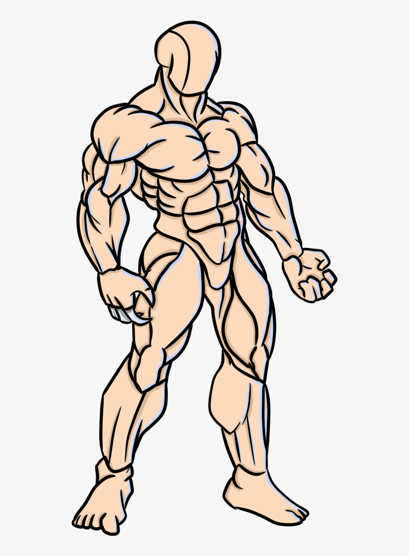 Log In To Report Abuse - Muscle, transparent png download