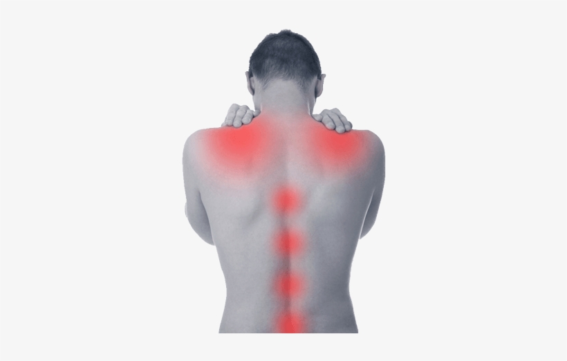 Spine Scan Chiropractic Clinic Perth Can Accurately - Shoulder Pain, transparent png download