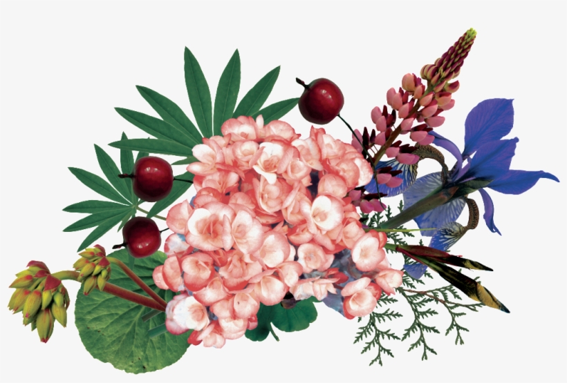 Hand-painted Colorful Flower Png Transparent - Portable Network Graphics, transparent png download