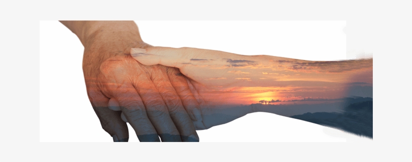 Hand Hold Long - Insurance, transparent png download