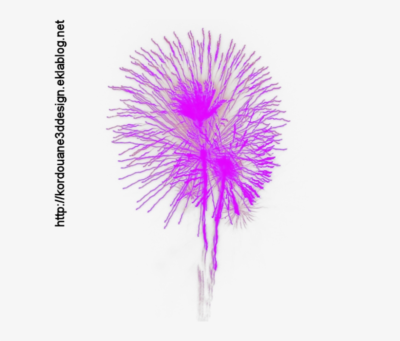 Feu D'artifice - Flower, transparent png download