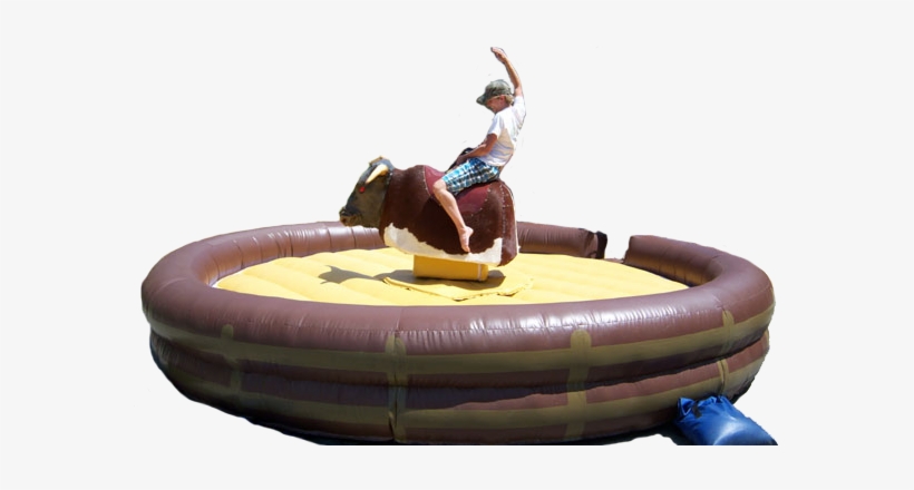 Our Products - Livestock, transparent png download