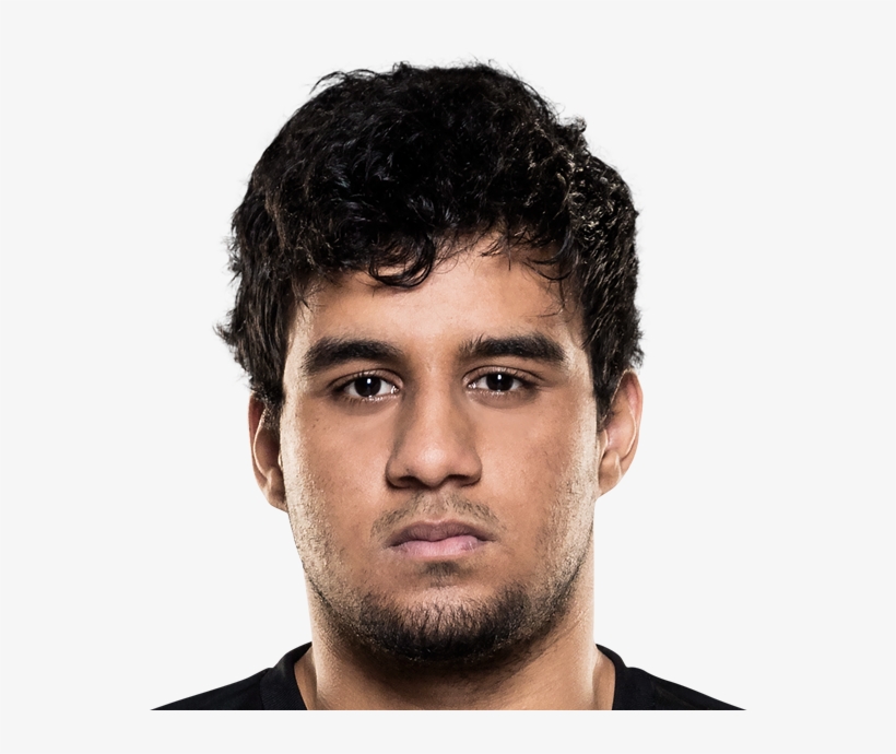 One Absolut 2017 Worlds - Absolut Lol, transparent png download