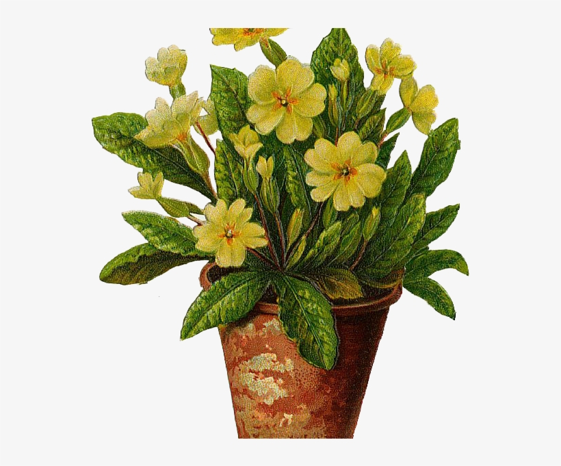 Flowerpots Clipart Beautiful Flower - Tattoo Of Yellow Primrose, transparent png download