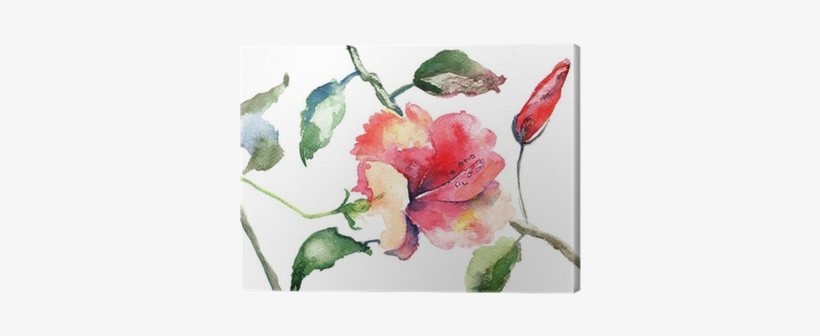 Watercolor Illustration Of Beautiful Flowers Canvas - Photography, transparent png download