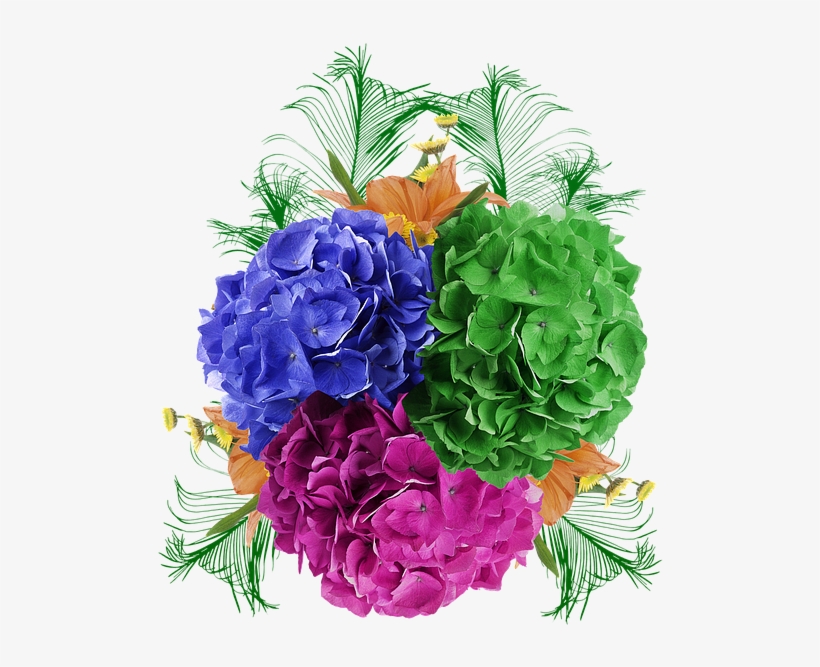 Flower, Clove, Green, Purple, Petals, Beautiful Flower - Flower, transparent png download